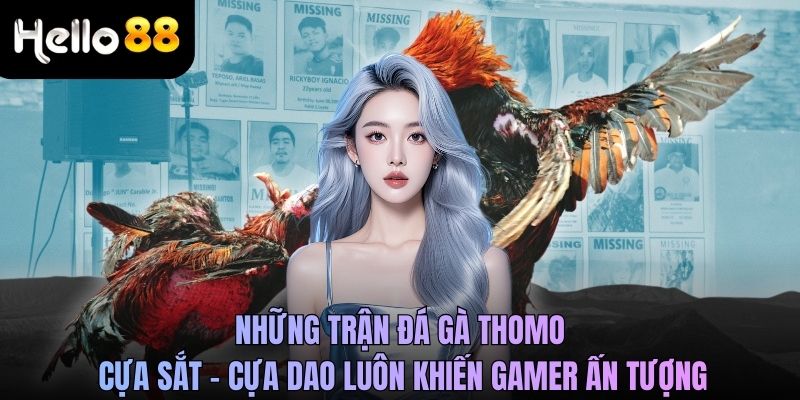 Những trận đá gà Thomo, cựa sắt - cựa dao luôn khiến gamer ấn tượng